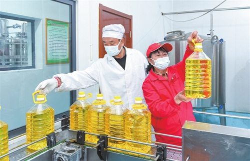 鄉寧縣：為鄉村振興加“油”